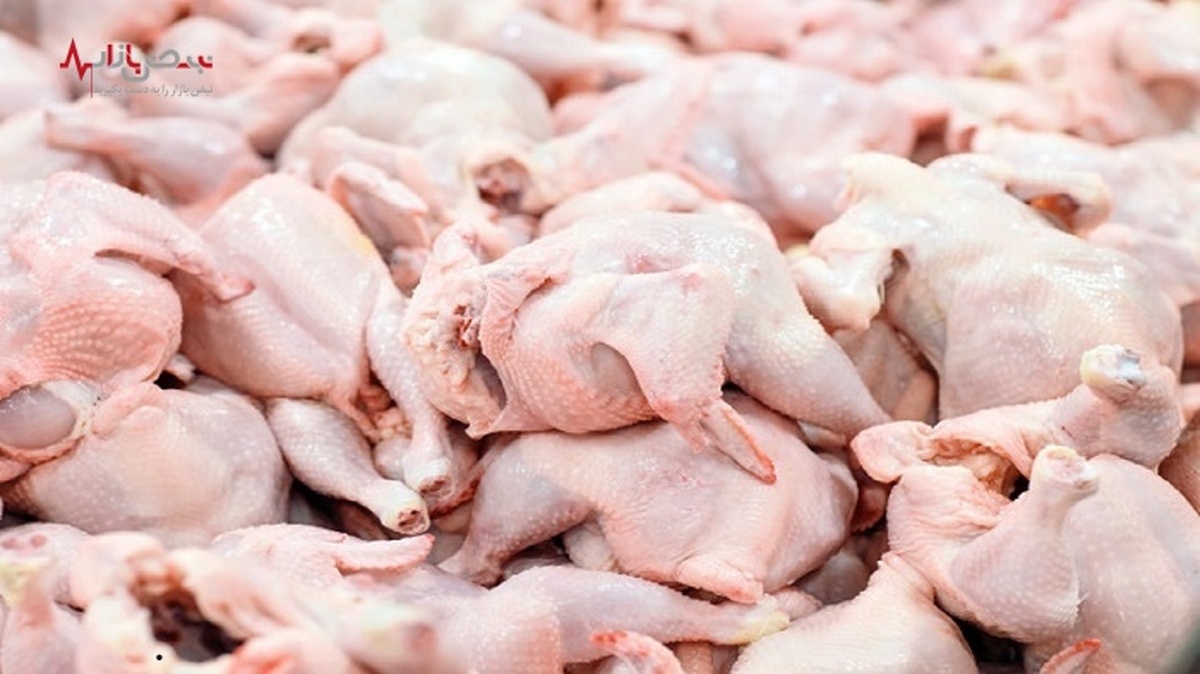 احتمال کاهش قیمت مرغ در عمده فروشی‌ها طی روز‌های آتی