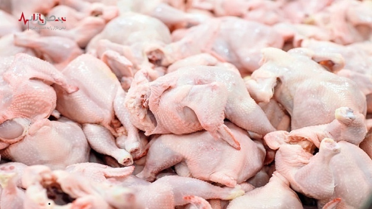 قیمت مرغ در خرده فروشی‌های سطح کشور کاهش یافت