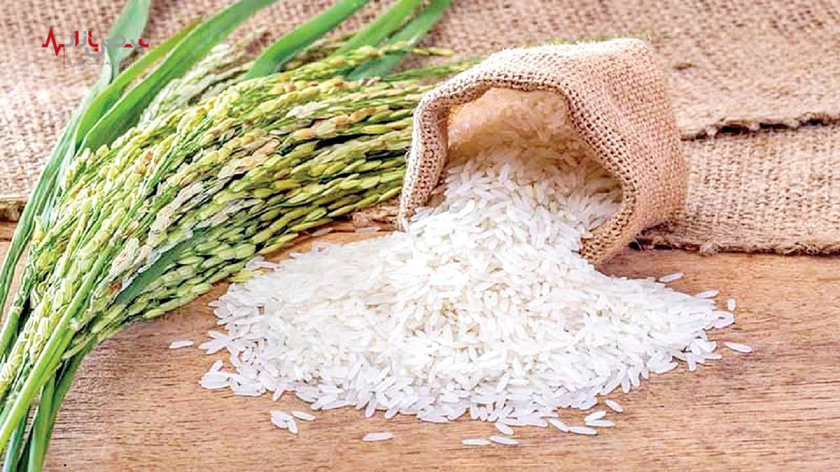 بازهم دستکاری دلالان در قیمت برنج/ برنج به فراوانی موجود است حتی زیر قیمت مصوب