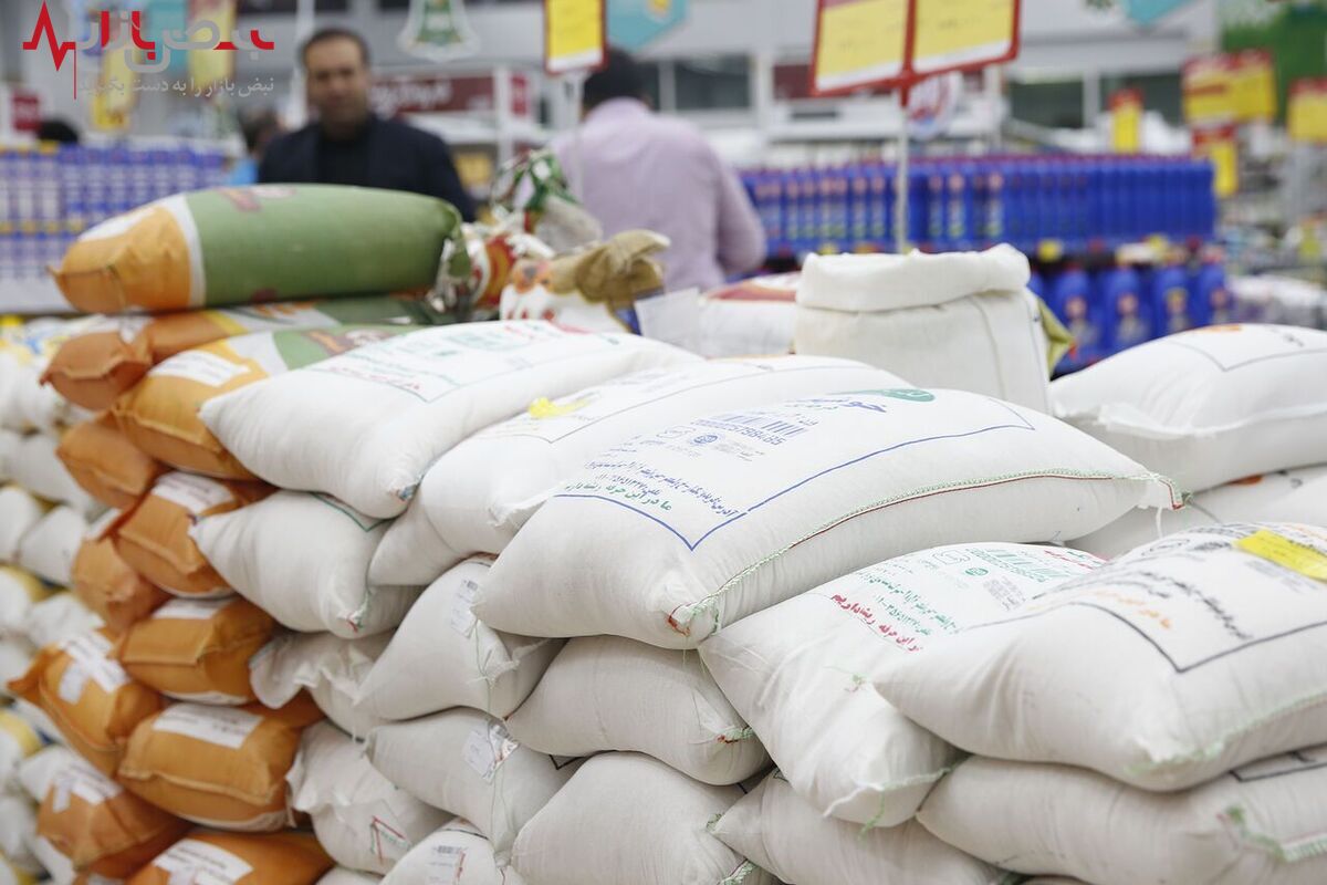 قیمت بالای برنج و کاشت آن در 15 استان کم‌آب کشور