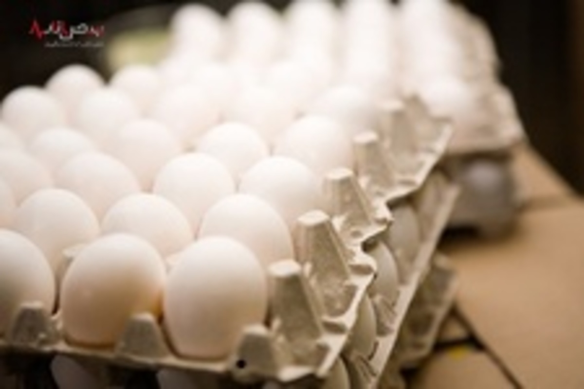 تخم مرغ در بازار چند قیمت دارد؟