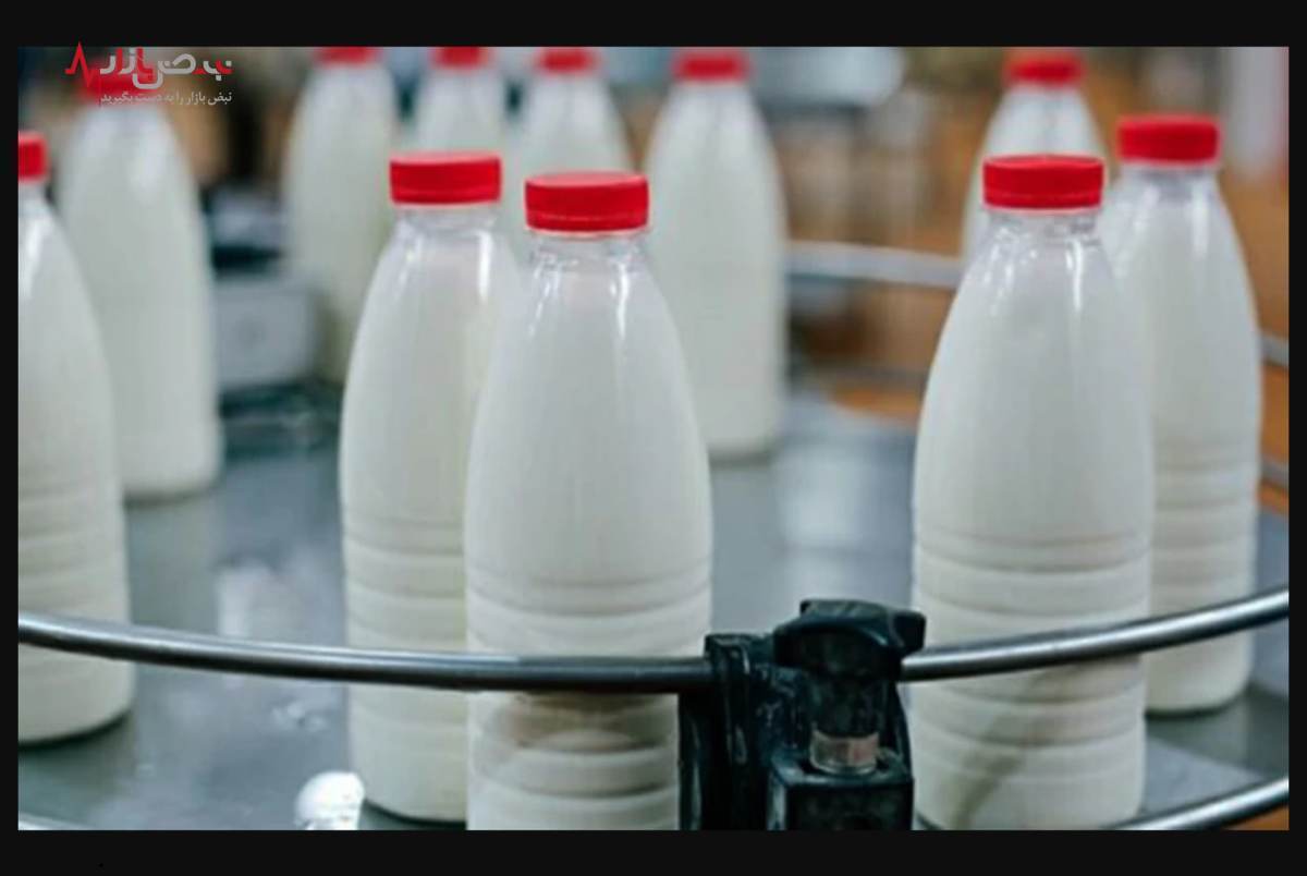 صنایع لبنی چقدر گران می‌شود/ قیمت شیر از دامداری تا صنعت