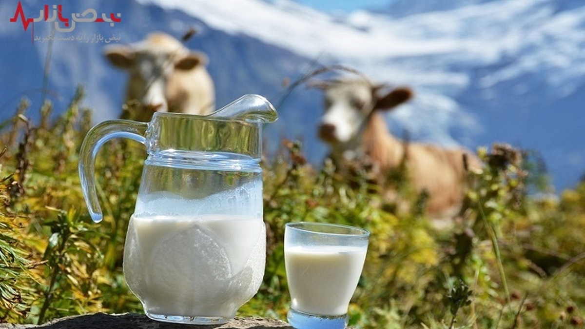 قیمت انواع شیر کم چرب در بازار + جدول