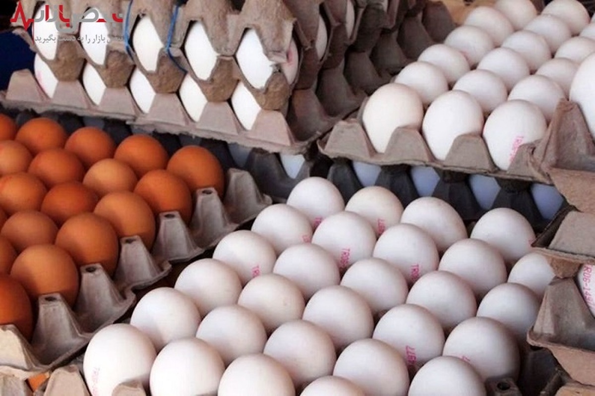 عرضه تخم مرغ‌تر از نرخ مصوب و واقعی در بازار