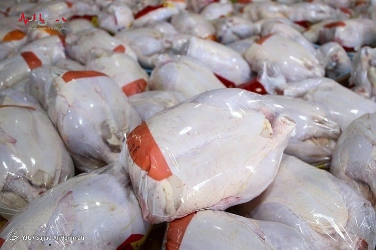عرضه روزانه ۶۰۰ تن مرغ مازاد بر نیاز بازار