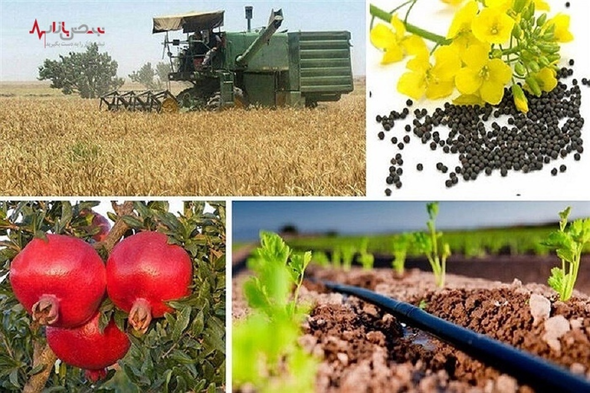 رتبه‌های ۳ تا ۱۹ ایران در تولید ۲۰ محصول مهم کشاورزی جهان