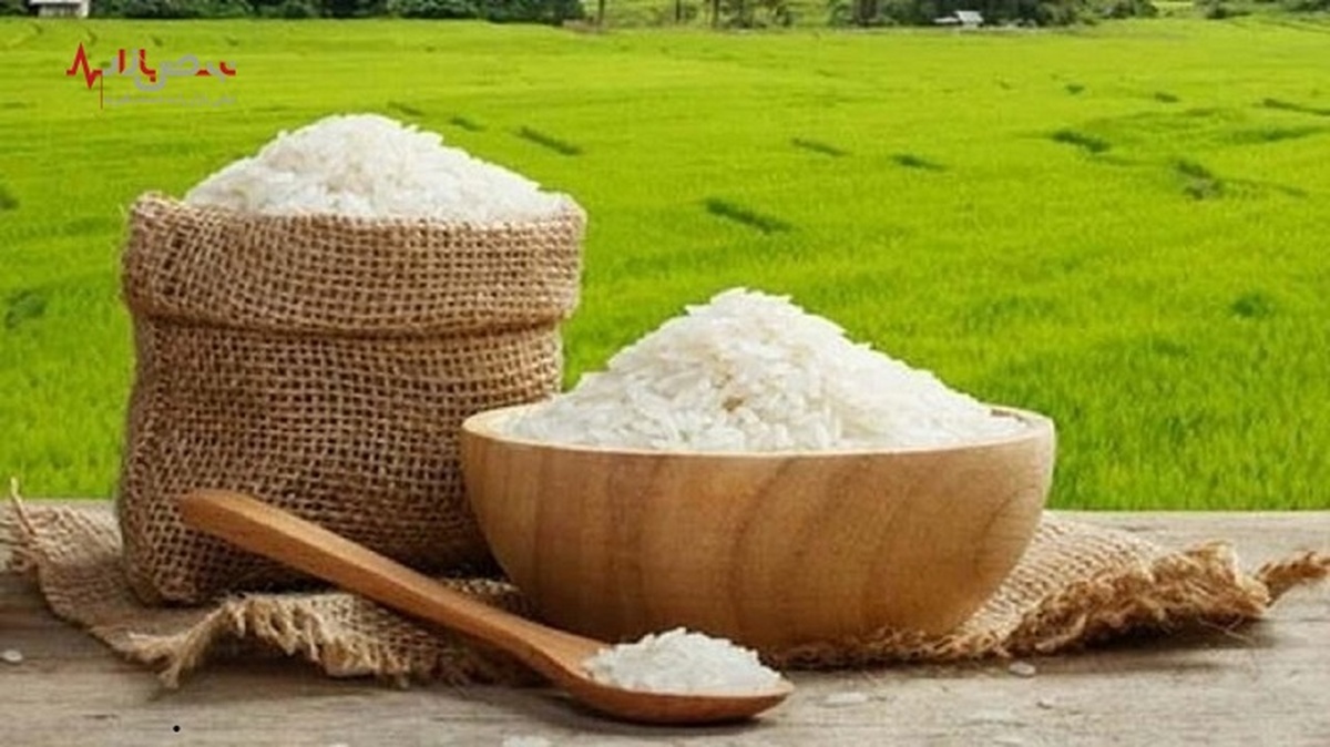 قیمت انواع برنج در بازار+ جدول