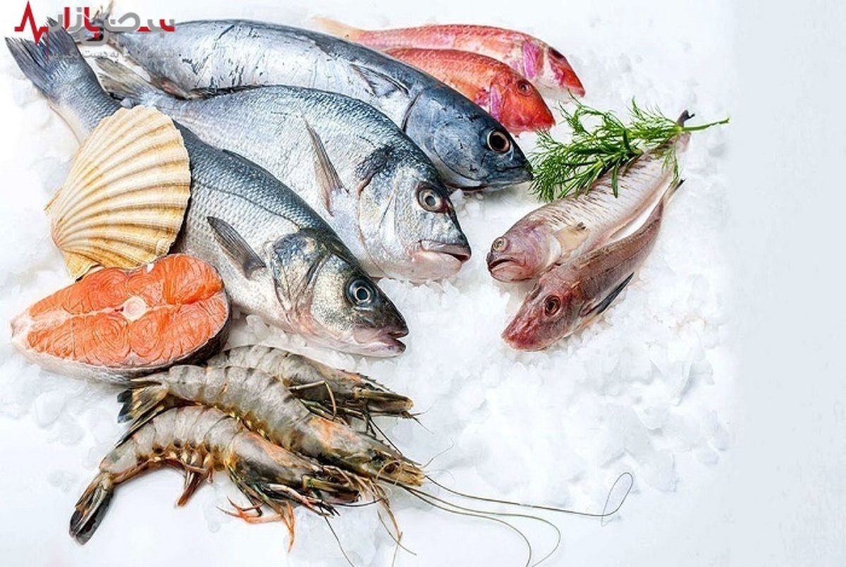 قیمت انواع ماهی بازار + جدول