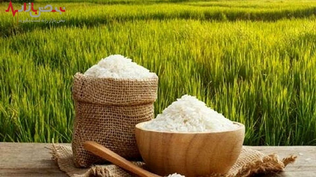 قیمت روز انواع برنج ایرانی در بازار + جدول