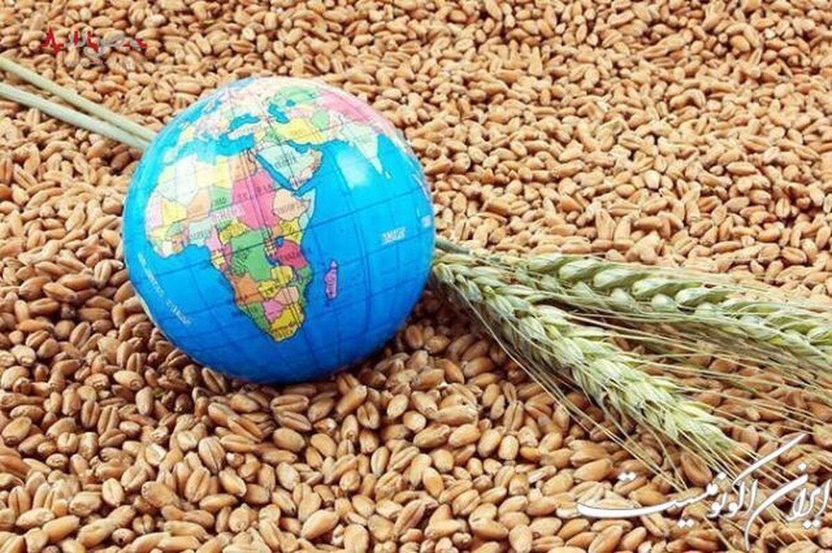 تورم مواد غذایی در قاره پهناور شدیدتر می‌شود/ افزایش مجدد قیمت جهانی مواد غذایی