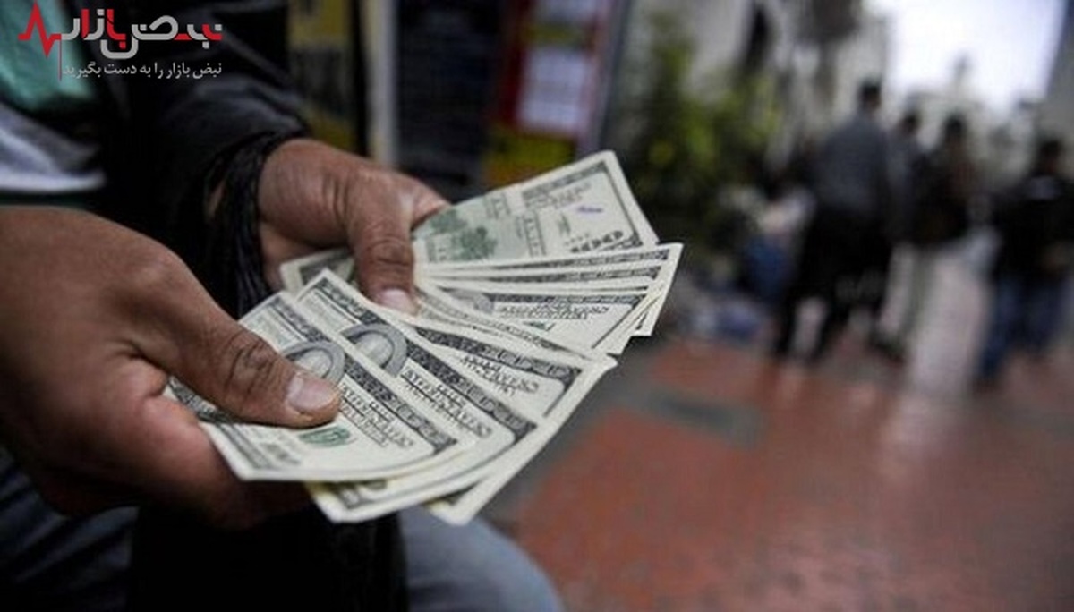 قیمت روز ارز در صرافی ملی ایران/جدیدترین نرخ دلار در ۴ تیر ۱۴۰۱