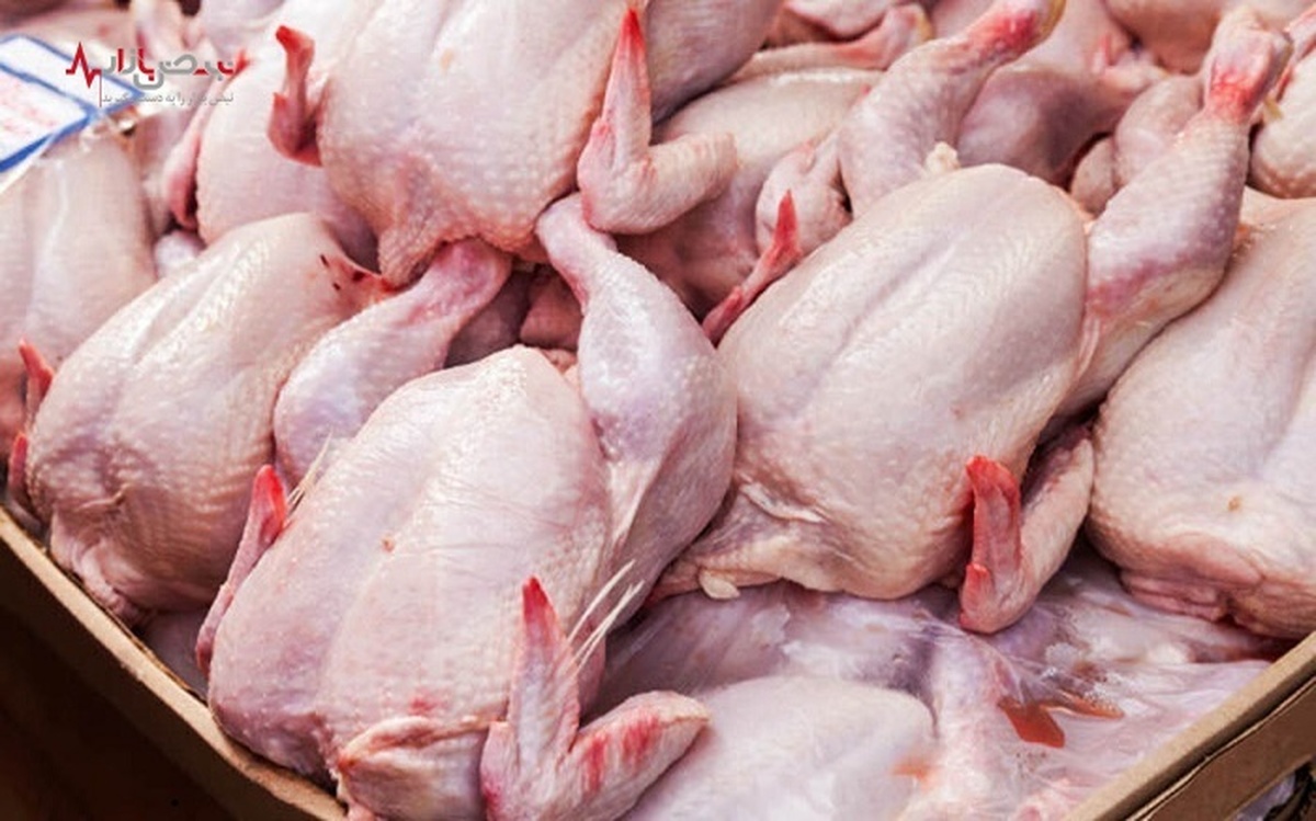 بروزترین قیمت گوشت مرغ تازه بازار + جدول