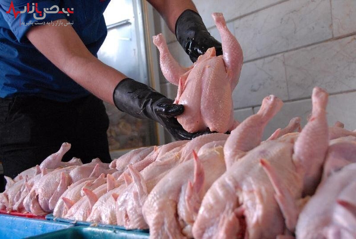 قیمت گوشت مرغ امروز ۲۷ مرداد ۱۴۰۱