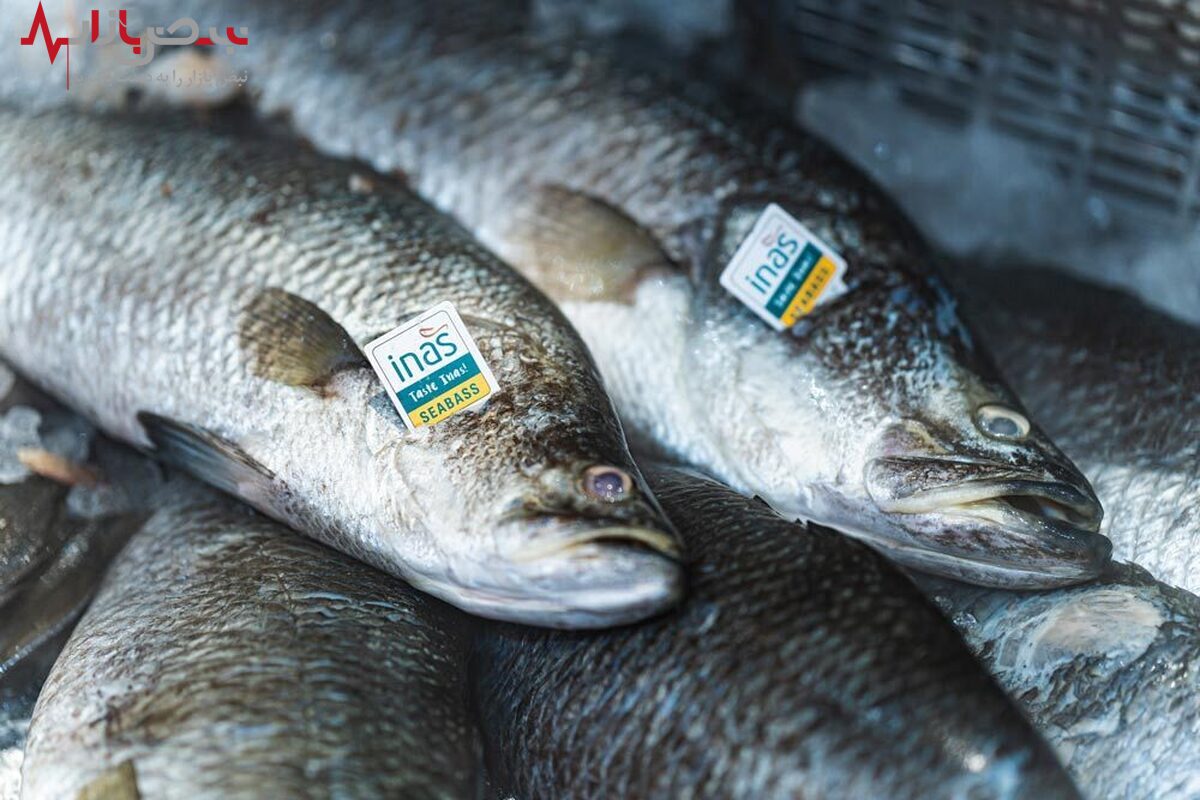 قیمت انواع ماهی امروز ۲۹ مرداد ۱۴۰۱