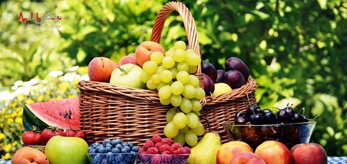 بروزترین لیست قیمت انواع میوه در میادین تره‌بار + جدول