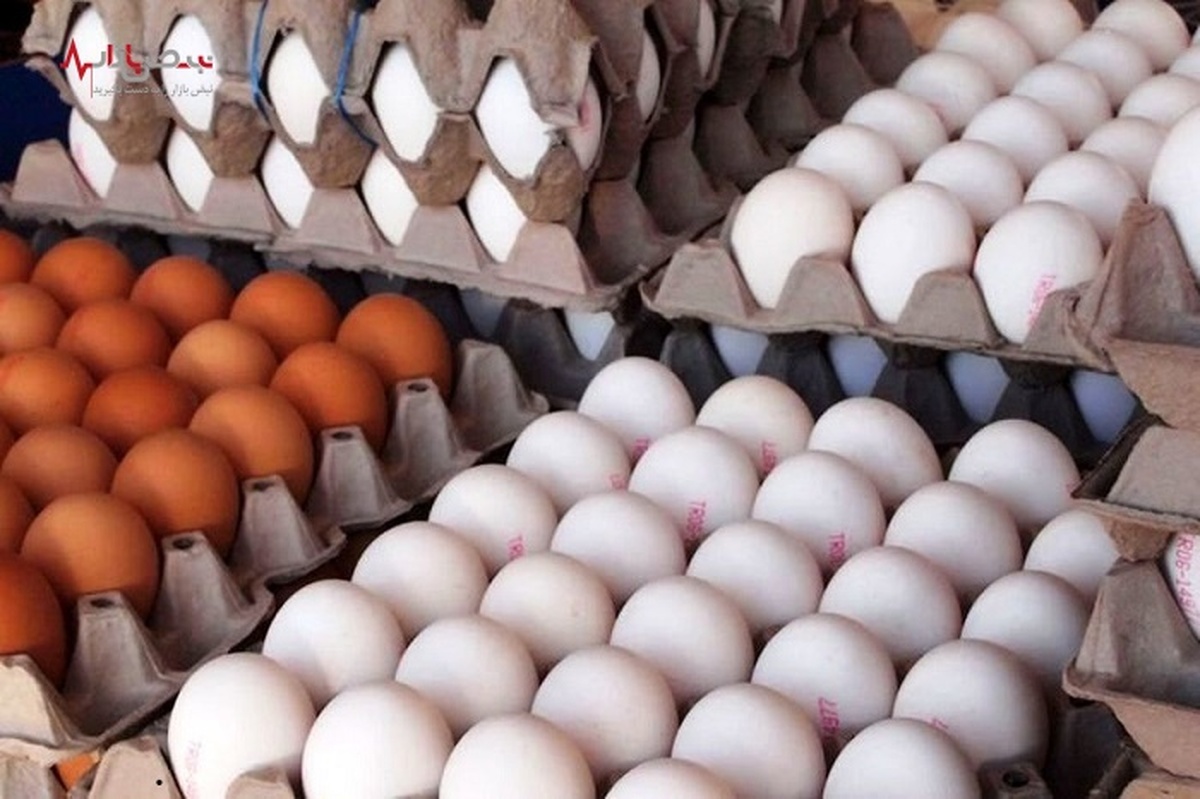 چرایی افزایش قیمت تخم‌مرغ/ نرخ روز تخم مرغ در بازار + جدول