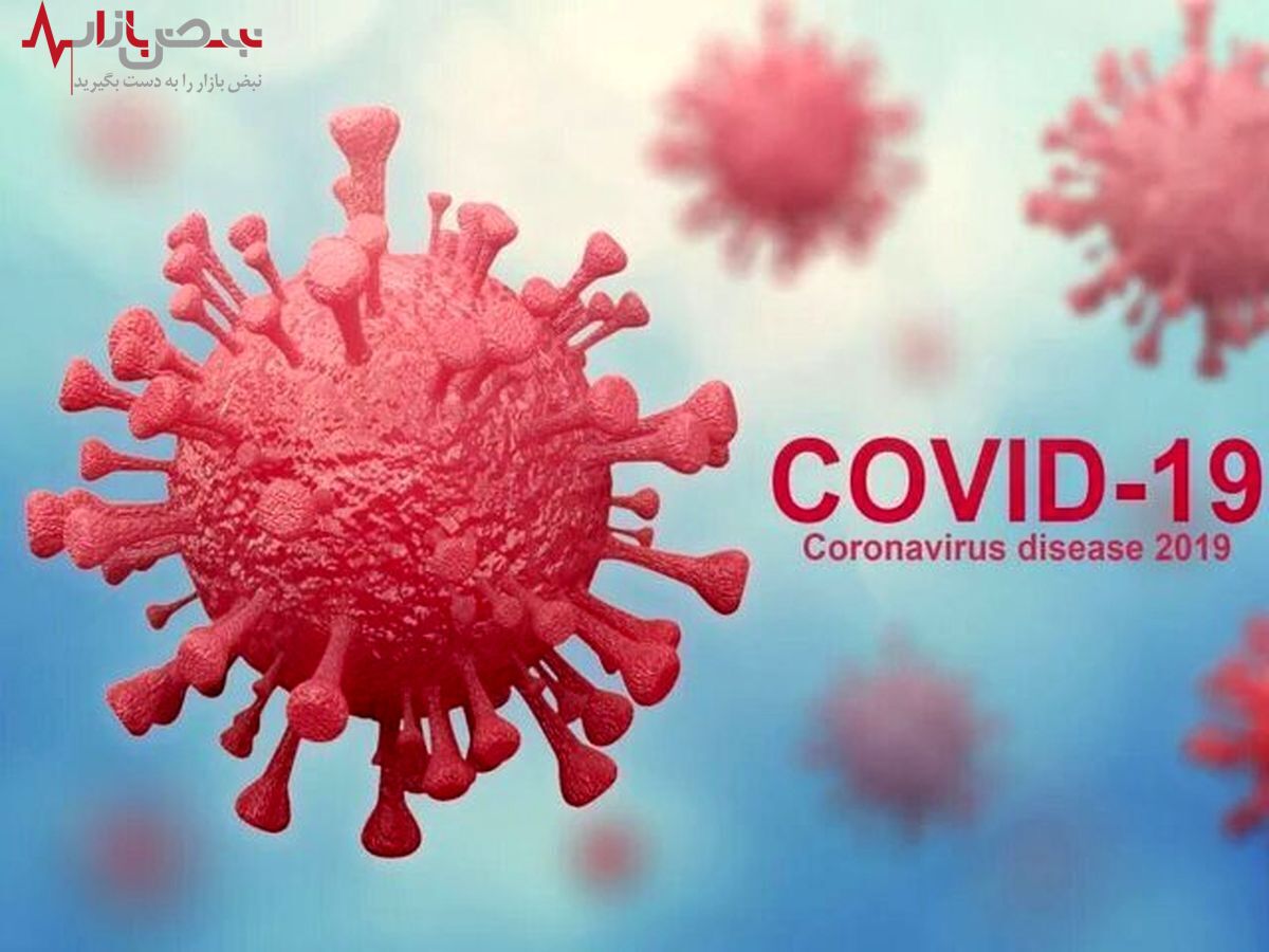 تا کنون ۶۱۰ میلیون نفر در جهان به ویروس کرونا مبتلا شده اند