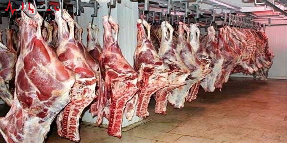 قیمت انواع گوشت گوسفندی و گوساله