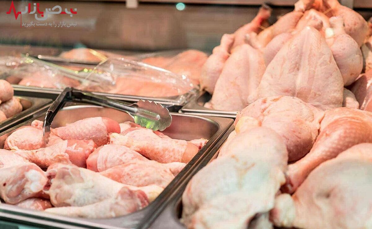قیمت روز گوشت مرغ امروز ۲۴ شهریور ۱۴۰۱ / هر کیلو ساق مرغ ۹۹ هزار تومان