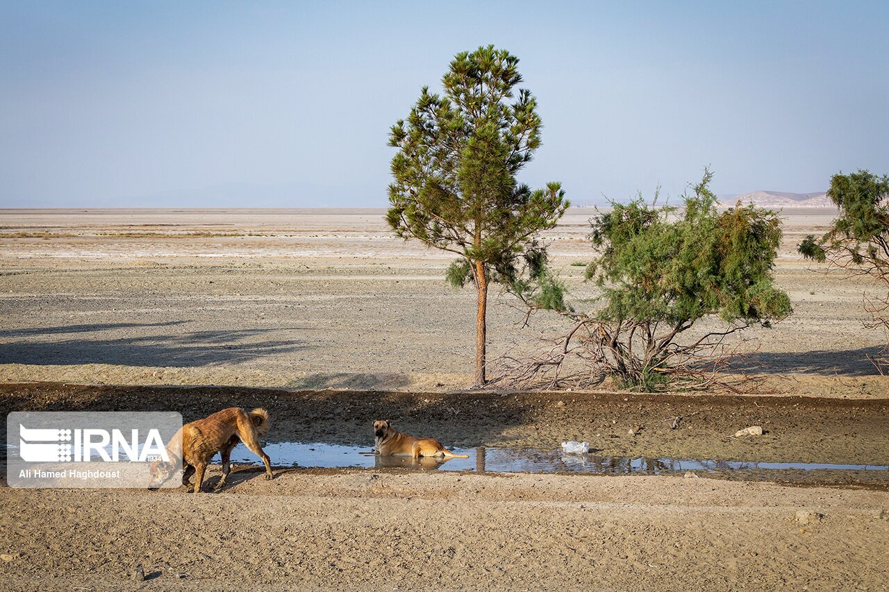تصاویری از تغییرات اقلیمی  دریاچه ارومیه
