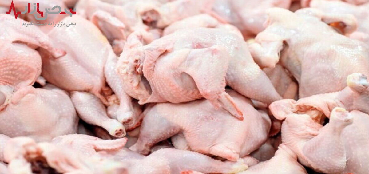 جدیدترین قیمت مرغ امروز ۳۱ شهریور ۱۴۰۱ / هرکیلو سینه مرغ ۱۲۵ هزار تومان