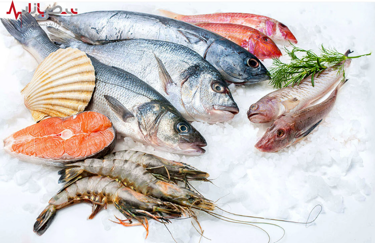 قیمت انواع ماهی و میگو امروز ۳۱ شهریور ۱۴۰۱ / هرکیلو تیلاپیا ۶۰ هزار تومان