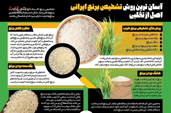 ترفند‌های ساده برای تشخیص برنج ایرانی اصلا با خارجی + اینفوگرافیک