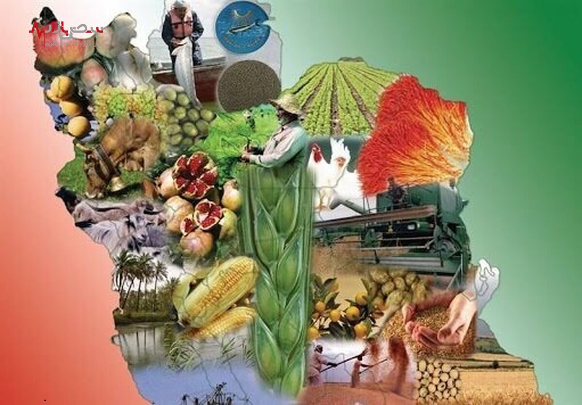 تامین امنیت غذایی، تضمین سلامتی است/عدم ثبت بیماری‌ها و مسمومیت‌های ناشی از غذا