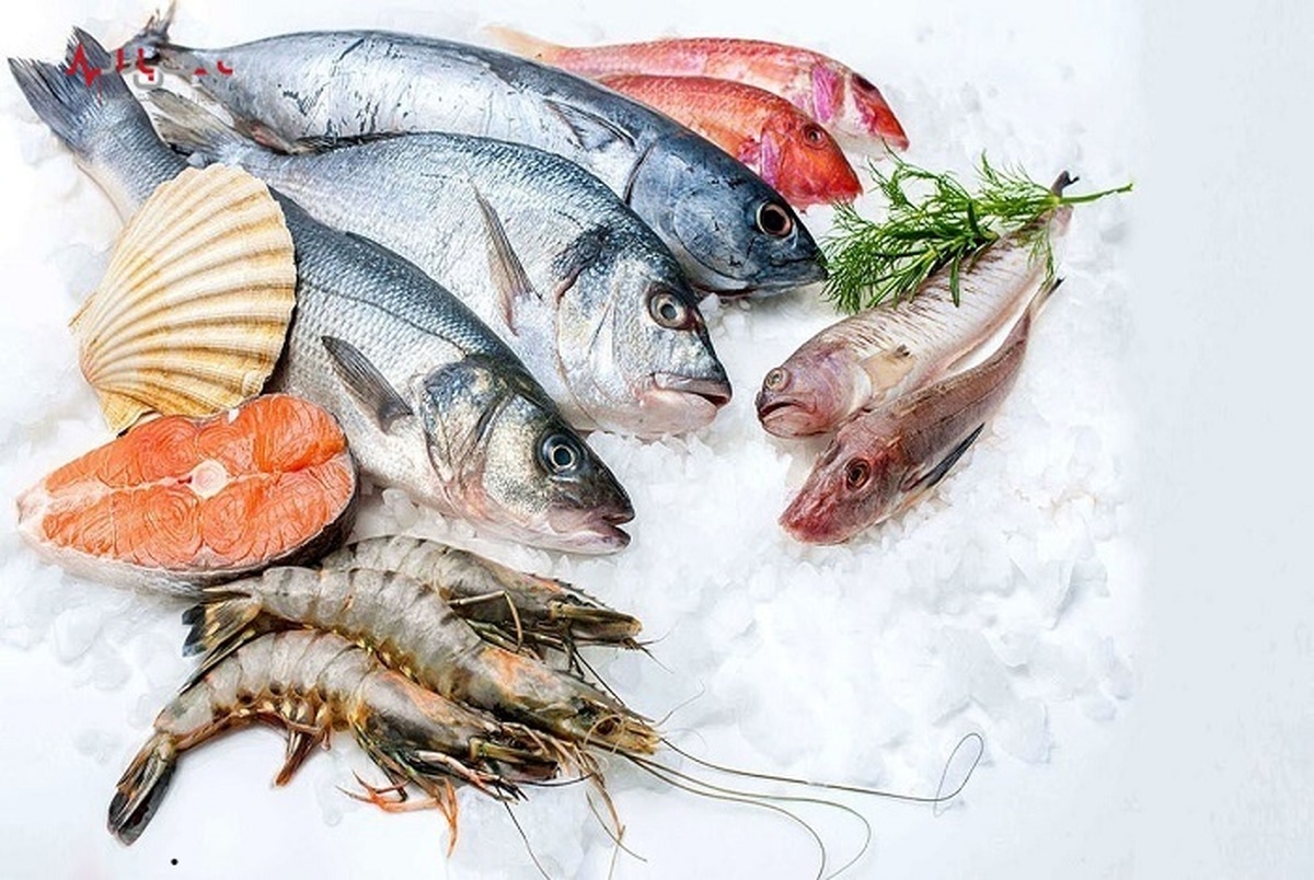 قیمت انواع ماهی شمال، جنوب و پرورشی در بازار / جدول