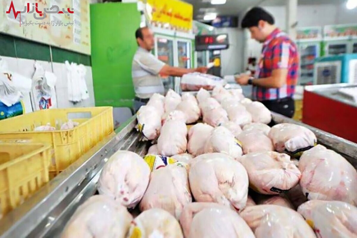 قیمت مرغ امروز ۲۱ مهر / فیله مرغ کیلویی ۱۲۵ هزار تومان