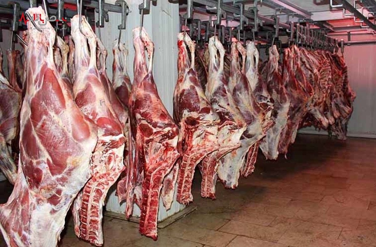 مصرف گوشت ایرانی‌ها امسال چند درصد کم شد؟