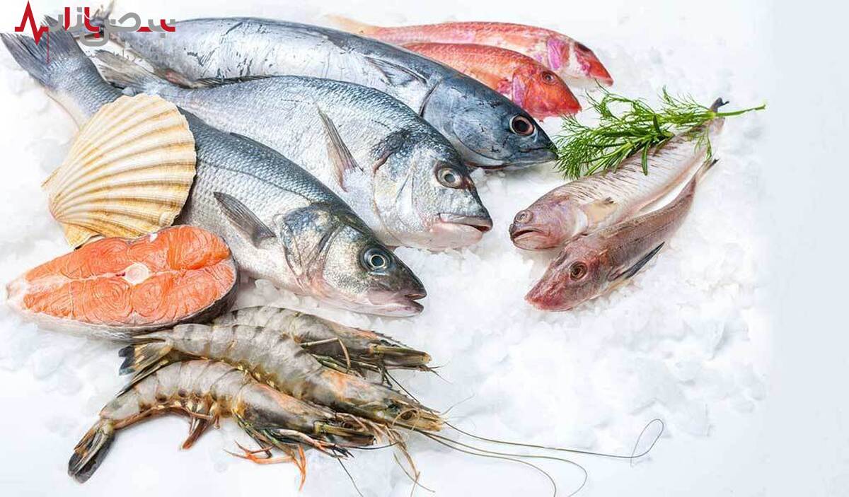 قیمت ماهی و میگو در بازار ثابت مانده است