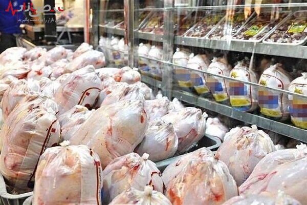 شایعه افزایش قیمت مرغ، اطلاعات ناصحیح برخی افراد خارج‌نشین است