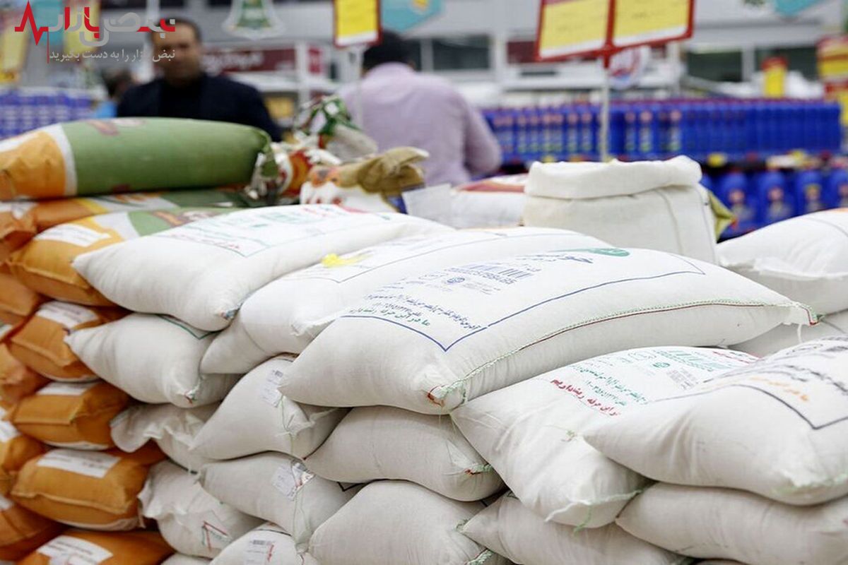 چرا قیمت برنج مرغوب ایرانی به زیر ۱۰۰ هزار تومان رسید؟