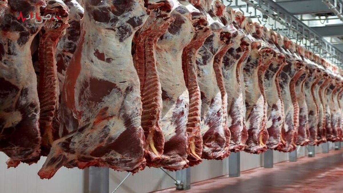 قیمت گوشت گوساله و گوسفند /جدول