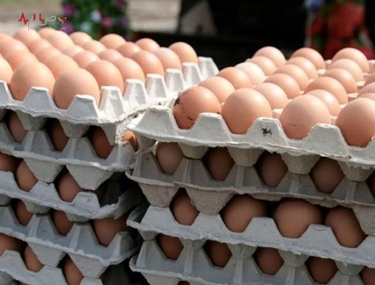 قیمت تخم مرغ از هفته‌ آینده گران می‌شود