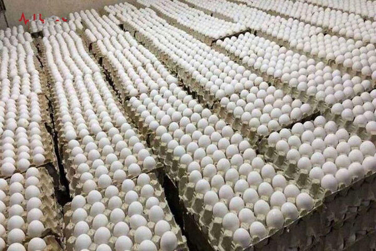 قیمت تخم‌مرغ اعلام شد/ ۴۴ هزارتومان قیمت جدید تخم‌مرغ در بازار! + جدول