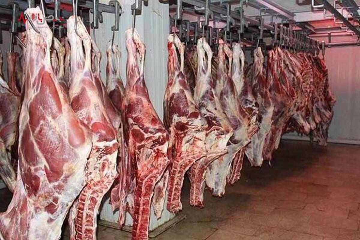 قیمت روز گوشت قرمز امروز ۲۴ دی ۱۴۰۲