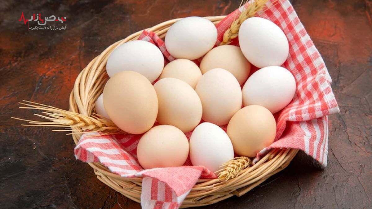 قیمت تخم مرغ امروز سه‌شنبه ۲۶ دی ۱۴۰۲ + جدول