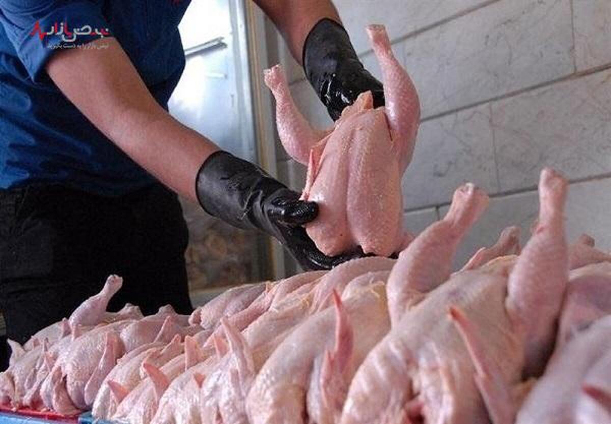 قیمت مصوب مرغ در آستانه عید نوروز مشخص شد