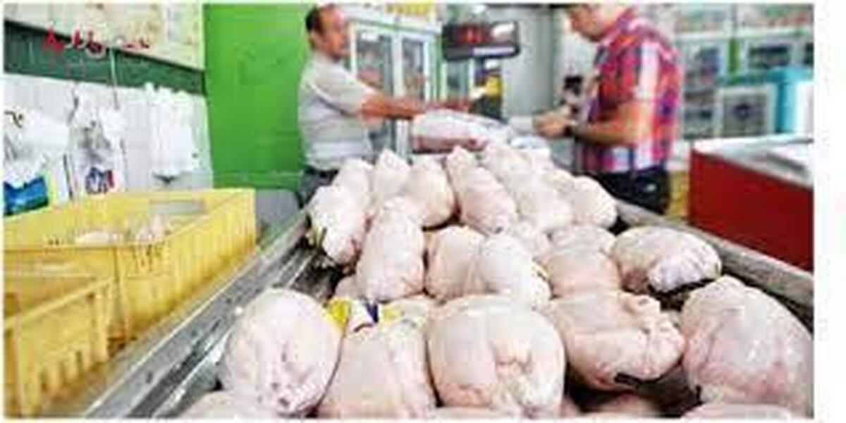 مرغ را گران نخرید/تعیین قیمت مرغ ماه رمضان