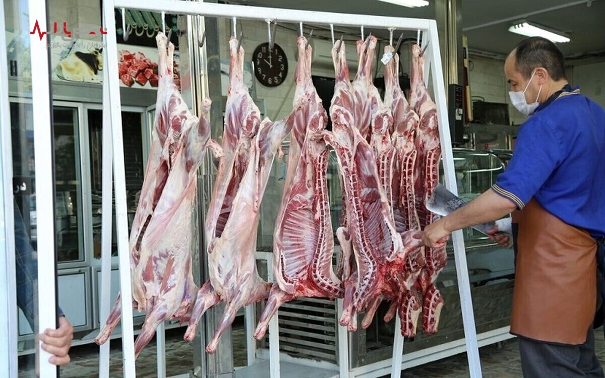 قیمت گوشت قرمز در بازار کباب شد | قیمت گوشت امروز یکشنبه ۲۴ اردیبهشت ماه ۱۴۰۲