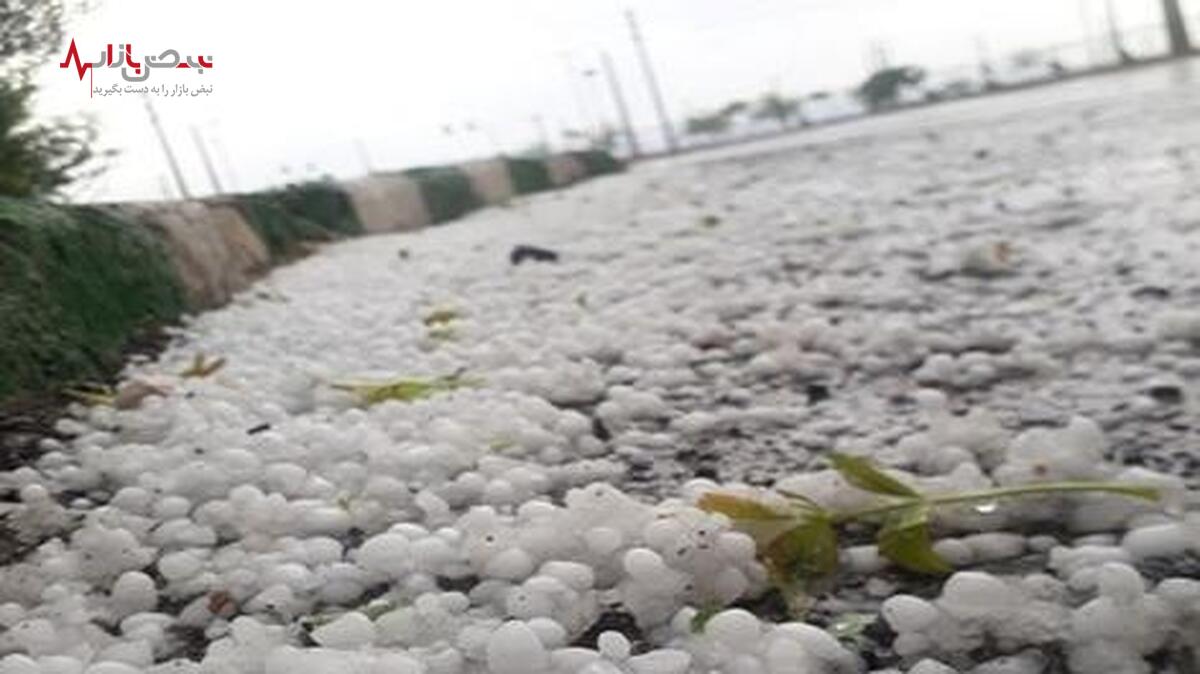 تصاویری از بارش تگرگ به اندازه تخم‌مرغ در کرمانشاه