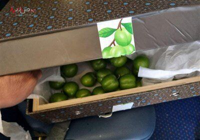 بی احترامی اسرائیل به هدیه الهام علی اف /تصاویر