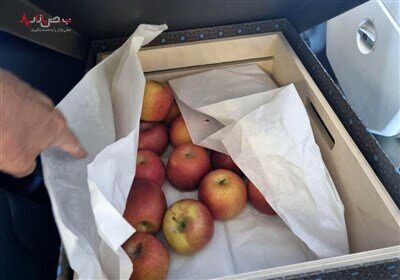 بی احترامی اسرائیل به هدیه الهام علی اف /تصاویر