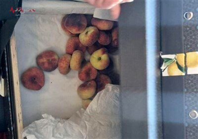 بی احترامی اسرائیل به هدیه الهام علی اف /تصاویر