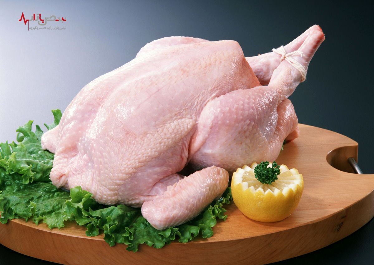 قیمت مرغ امروز ۲۵ خرداد ۱۴۰۲ / ران مرغ کیلویی چند؟