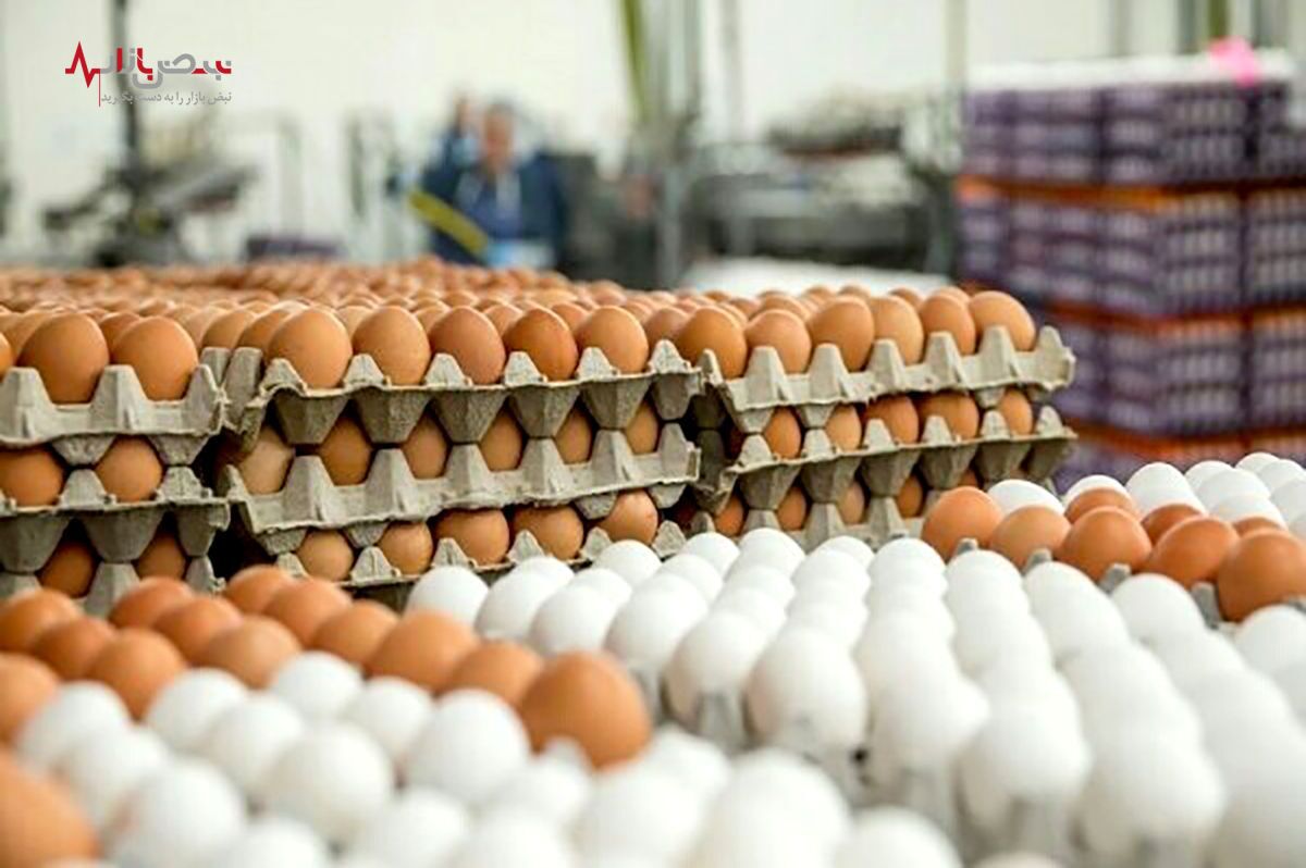 قیمت تخم مرغ امروز ۲۵ مرداد ۱۴۰۲