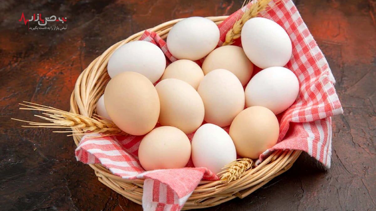 قیمت انواع تخم مرغ  بسته بندی شده در بازار