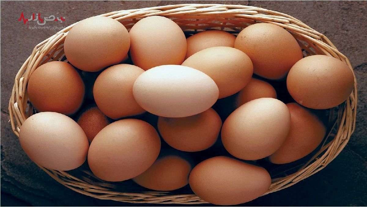 قیمت تخم مرغ بسته بندی شده در بازار